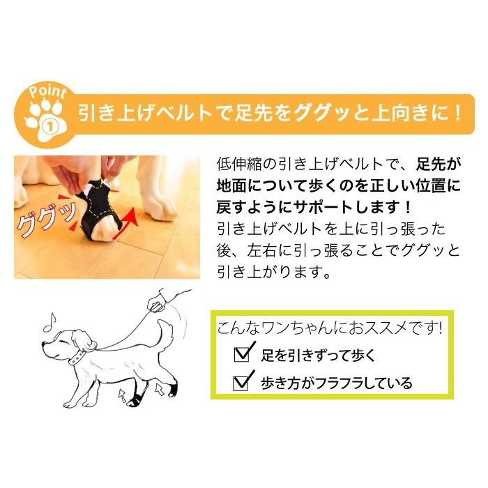 犬用品 足 サポーター 指 爪 保護 アニサポ ナックルン Lサイズ 日本製 ダイヤ工業 Anifull アニフル 003 3122 愛犬と一緒に歩くを叶える Anifull 通販 Yahoo ショッピング
