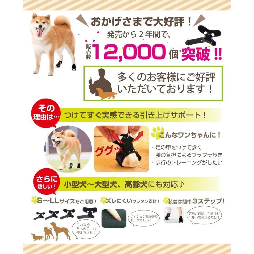 犬用品 足 サポーター 指 爪 保護 アニサポ ナックルン Lサイズ 日本製 ダイヤ工業 Anifull アニフル 003 3122 愛犬と一緒に歩くを叶える Anifull 通販 Yahoo ショッピング
