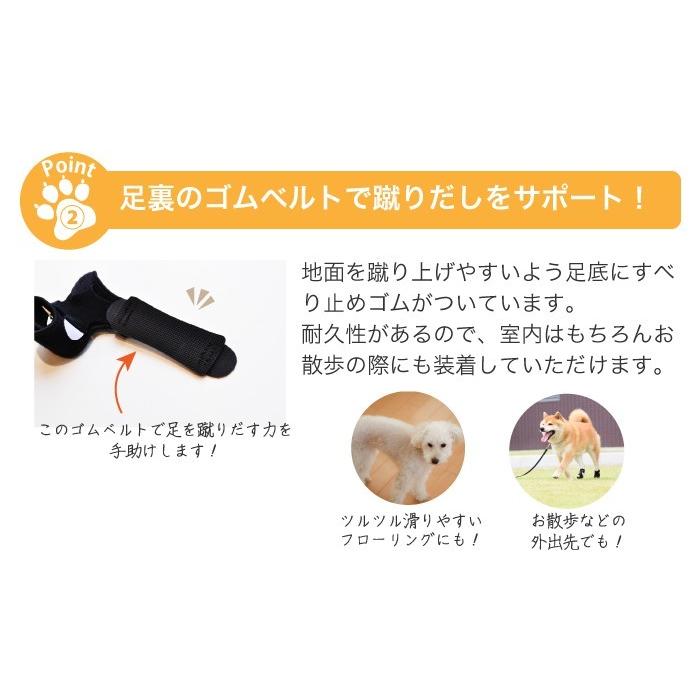 アニフル犬用手首サポーター  前両足2足セット 楽天市場】【anifull 公式】 アニサポ キック (手首・足首