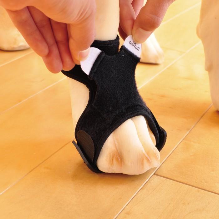 犬用品 足 サポーター 指 爪 保護 アニサポ ナックルン Sサイズ 日本製 ダイヤ工業 Anifull アニフル 003 3124 愛犬と一緒に歩くを叶える Anifull 通販 Yahoo ショッピング