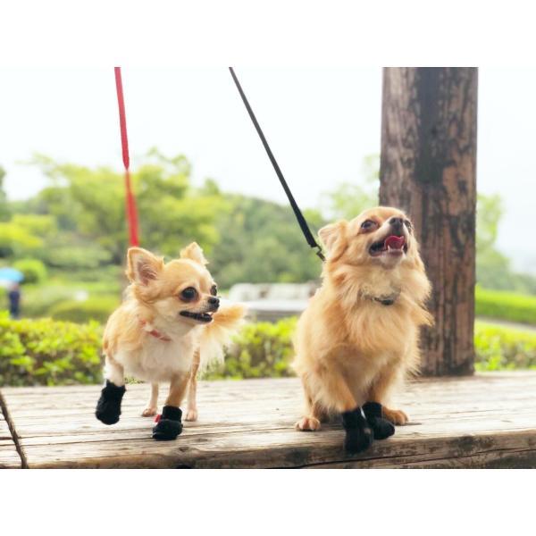 anifull 公式】 【ネコポス 送料込】 アニサポ ナックルン HERO