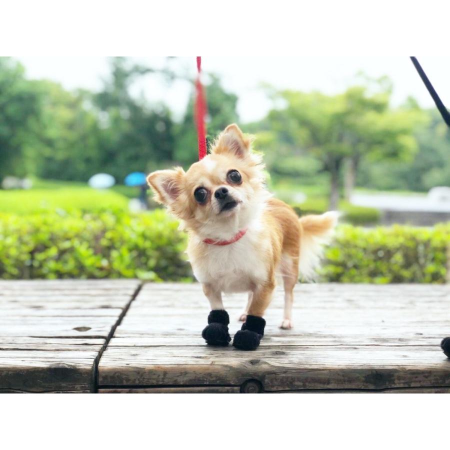 anifull 公式】 アニサポ ナックルン HERO XSサイズ 左右セット 前・後