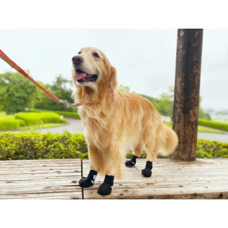 anifull 公式】 アニサポ ナックルン HERO XSサイズ 左右セット 前・後