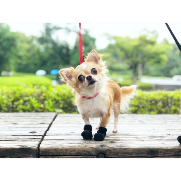 anifull 公式】 【ネコポス】 アニサポ ナックルン HERO XSサイズ 左右