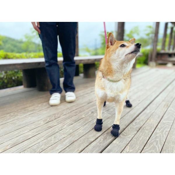 anifull 公式】 【ネコポス 送料込】 アニサポ ナックルン HERO XS