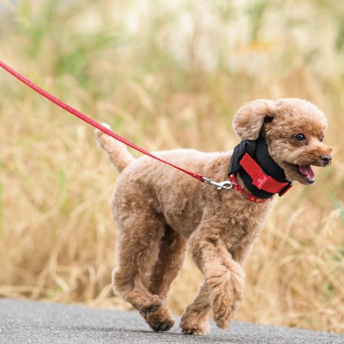 【anifull 公式】 アニサポ ネック Sサイズ アニフル ダイヤ工業 日本製 犬用 犬 小型犬 首 サポーター 固定 制限 アニサポネック S｜anifull｜02