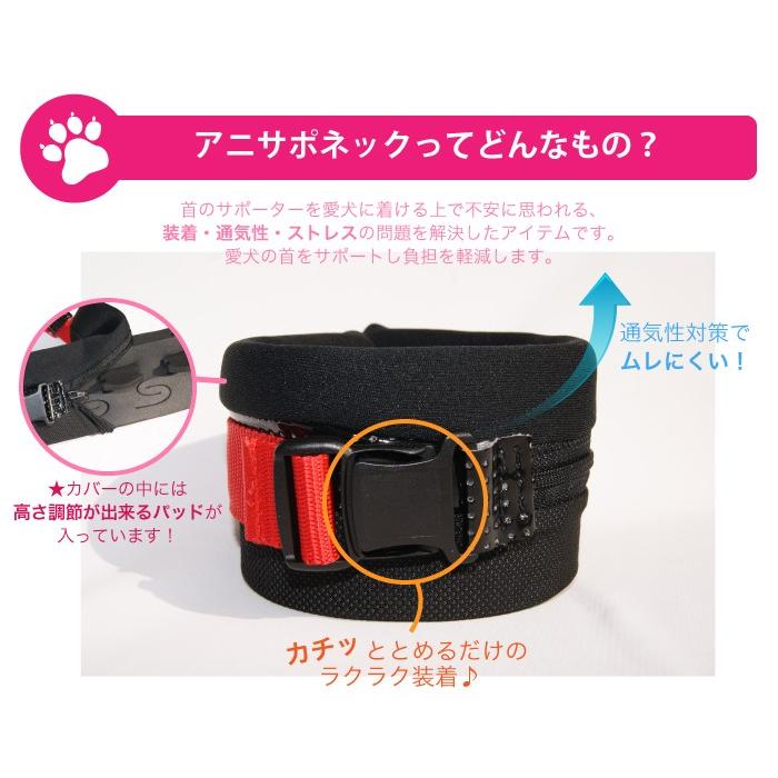 anifull 公式】 アニサポ ネック Sサイズ アニフル ダイヤ工業