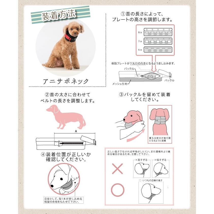 愛犬@ imgrc0107721485.jpg