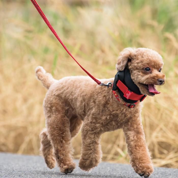 【anifull 公式】 アニサポ ネック Sサイズ アニフル ダイヤ工業 日本製 犬用 犬 小型犬 首 サポーター 固定 制限 アニサポネック S｜anifull｜03