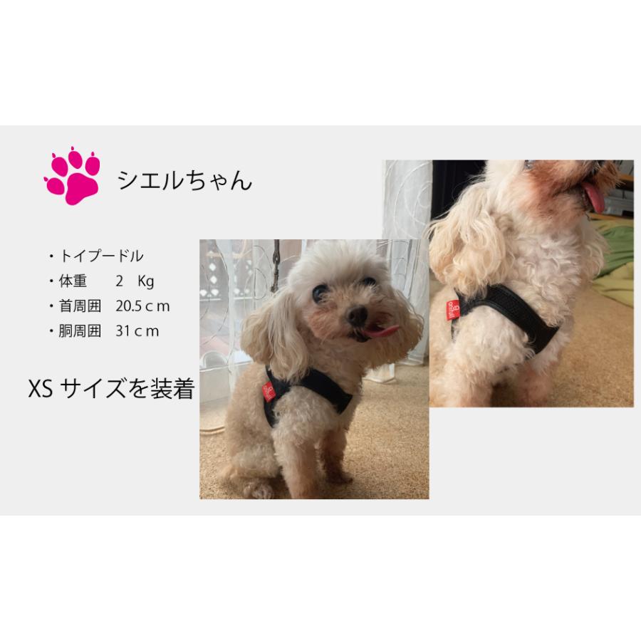 サリーの肉球様用！ ザナックス 野球 軟式 キャッチャー ミット ザナパワーシリーズ