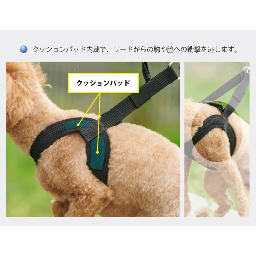 anifull アニサポ　ハーレスト 気管にやさしい犬の散歩用ハーネス アニサポ ハーレスト