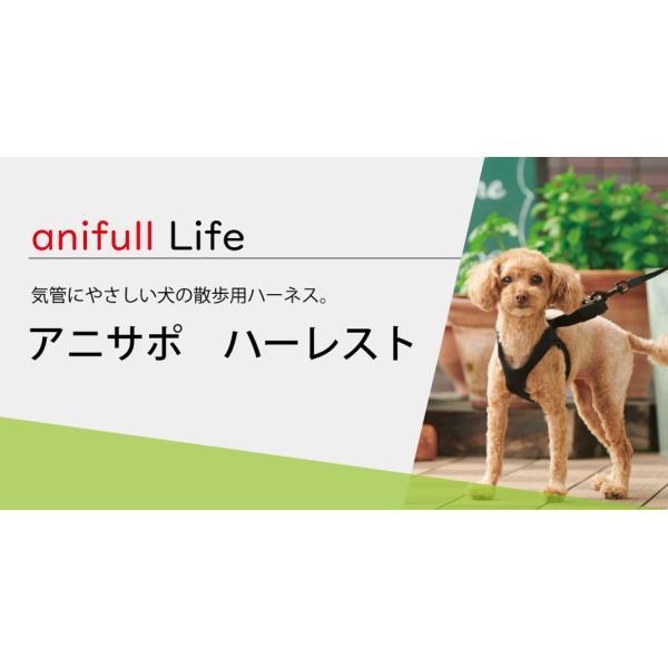 anifull 公式】【ネコポス送料込】 アニサポ ハーレスト ブラック M