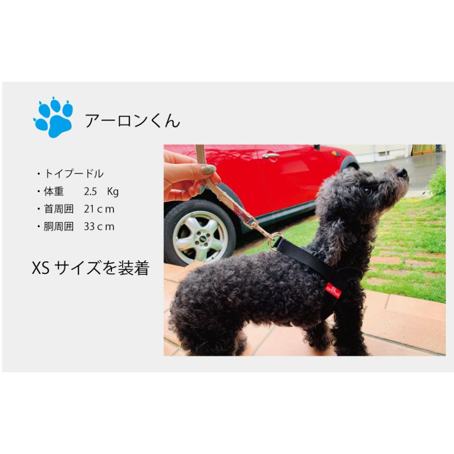 anifull 公式】 アニサポ ハーレスト Sサイズ アニフル ダイヤ