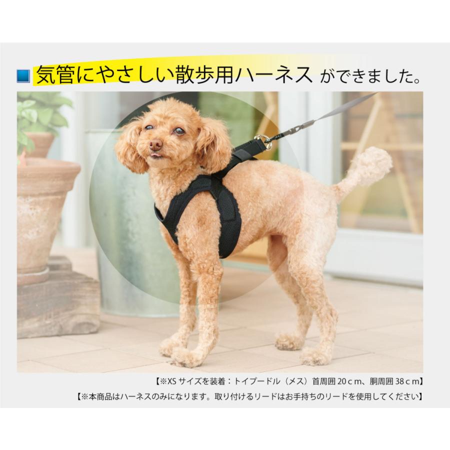 anifull 犬用サポーター アニサポヒップブラック XSサイズ アニサポ ヒップ 小型犬向け 股関節サポーター – anifull