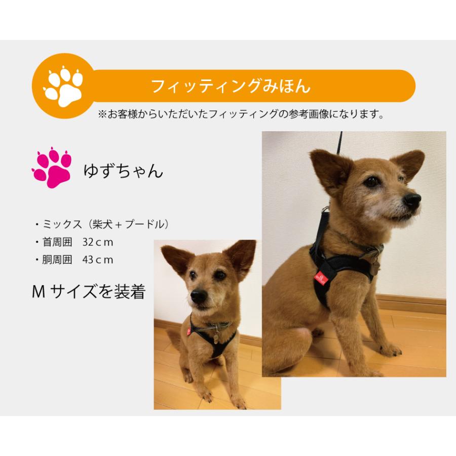 anifull 公式】 アニサポ ハーレスト ブラック XSサイズ アニフル 犬用