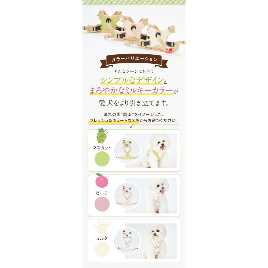 anifull 公式】 アニサポ ハーレスト cocochi (ココチ) リード付き