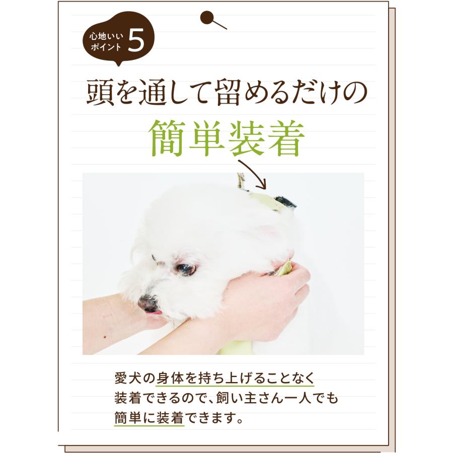 anifull 公式】 アニサポ ハーレスト cocochi (ココチ) リード付き