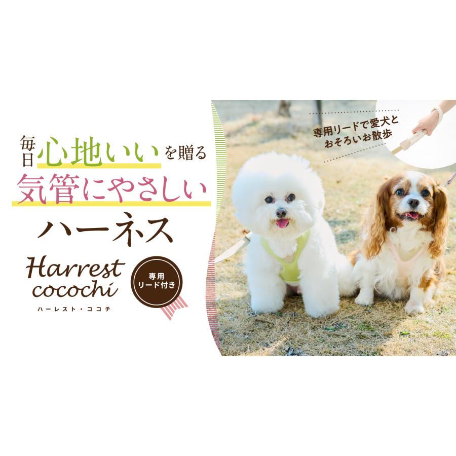 anifull 公式】 アニサポ ハーレスト cocochi (ココチ) リード付き