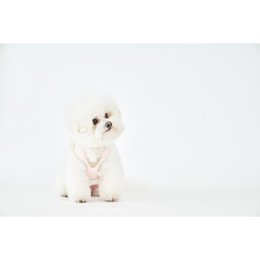 anifull 公式】アニサポ ハーレスト cocochi (ココチ) リード付