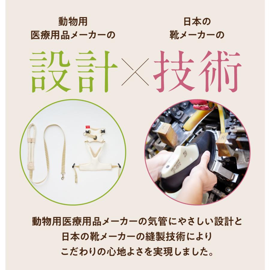 anifull 公式】アニサポ ハーレスト cocochi (ココチ) リード付 ピーチ