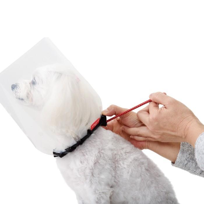 犬用品 エリザベスカラー ソフト 軽量 目 保護 術後 アニサポ アイガードエリザベスカラー Mサイズ 日本製 ダイヤ工業 Anifull アニフル 003 8003 愛犬と一緒に歩くを叶える Anifull 通販 Yahoo ショッピング