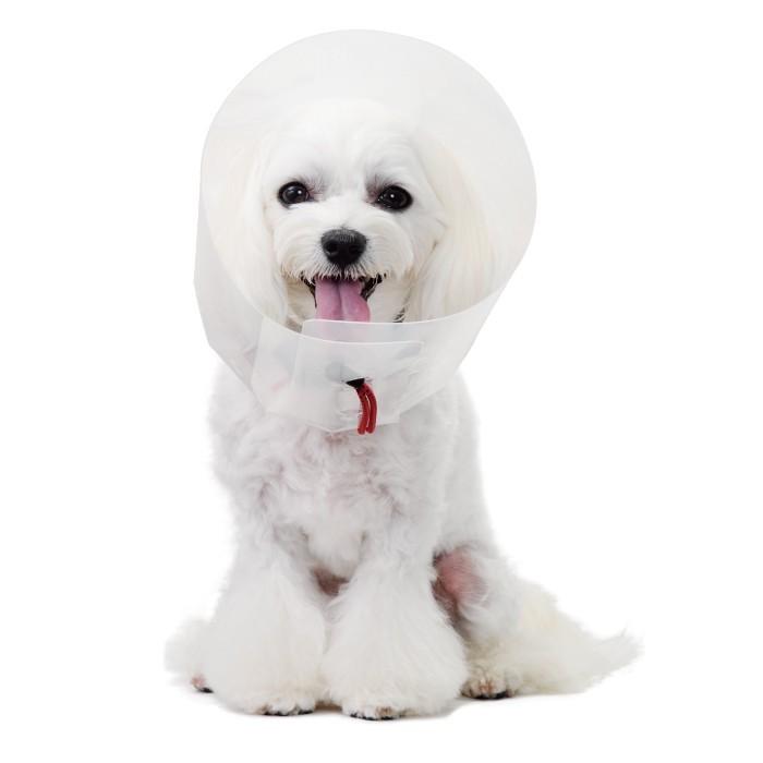犬用品 エリザベスカラー ソフト 軽量 目 保護 術後 アニサポ アイガードエリザベスカラー Mサイズ 日本製 ダイヤ工業 Anifull アニフル 003 8003 愛犬と一緒に歩くを叶える Anifull 通販 Yahoo ショッピング