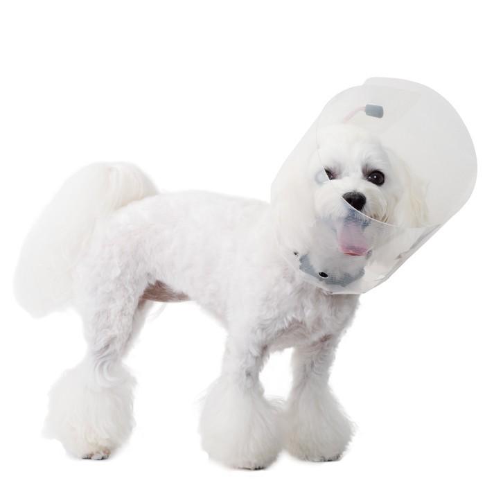 犬用品 エリザベスカラー ソフト 軽量 目 保護 術後 アニサポ アイガードエリザベスカラー Mサイズ 日本製 ダイヤ工業 Anifull アニフル 003 8003 愛犬と一緒に歩くを叶える Anifull 通販 Yahoo ショッピング