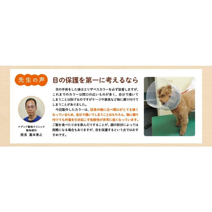 犬用品 エリザベスカラー ソフト 軽量 目 保護 術後 アニサポ アイガードエリザベスカラー Mサイズ 日本製 ダイヤ工業 Anifull アニフル 003 8003 愛犬と一緒に歩くを叶える Anifull 通販 Yahoo ショッピング