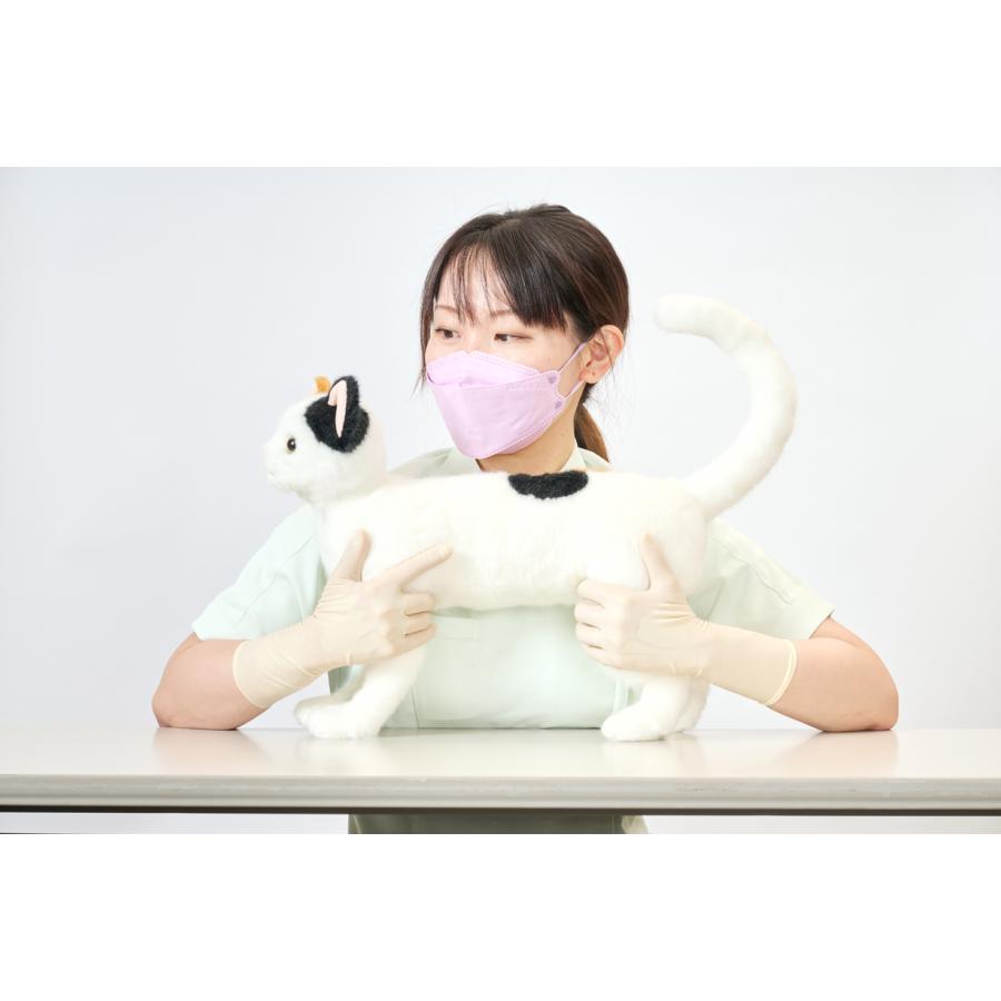 anifull 【anifull 公式】 保定のできる猫型採血シミュレーター