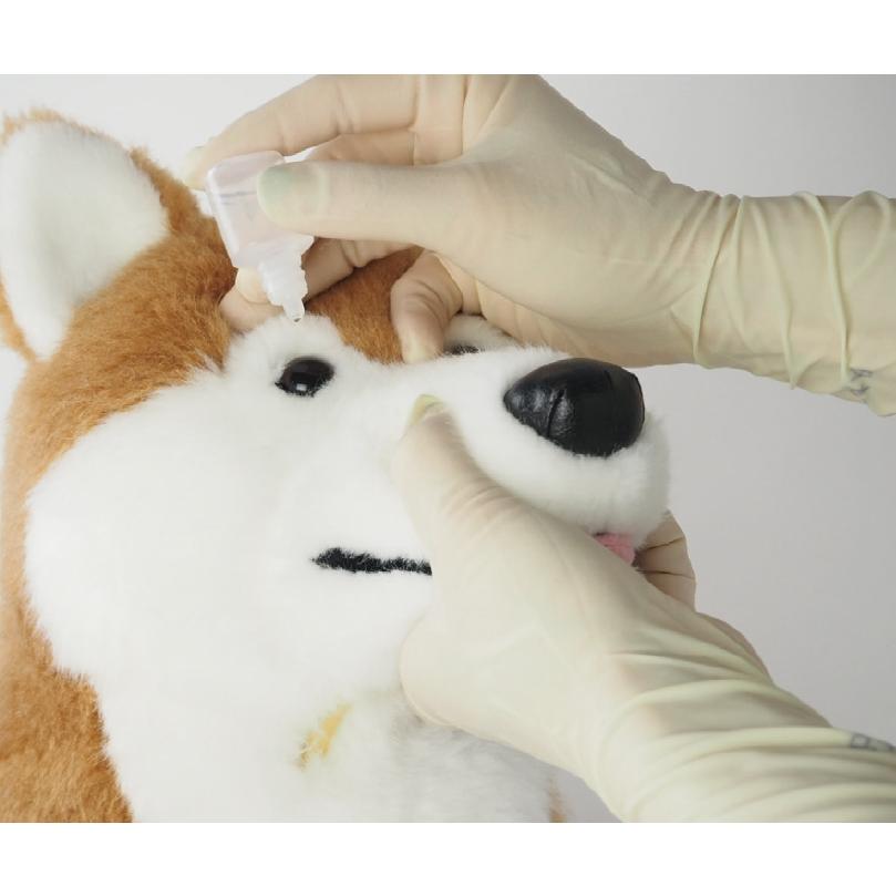 anifull 公式】 保定のできる犬型医療シミュレーター「しばわん