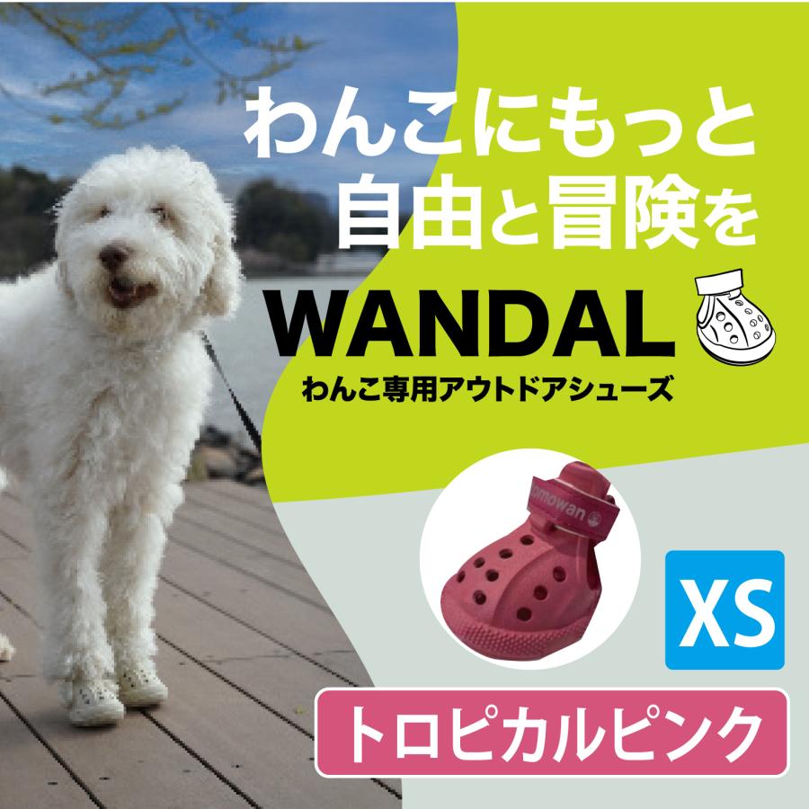 anifull 公式】 わんちゃん専用シューズ WANDAL（ワンダル） 4個入