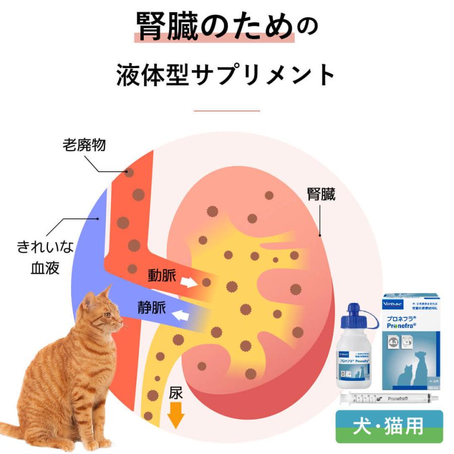 プロネフラ 3箱セット 有効期限2025年11月 賞味期限：2026/04/30】 プロネフラ 60ml 犬猫用 送料込 ビル