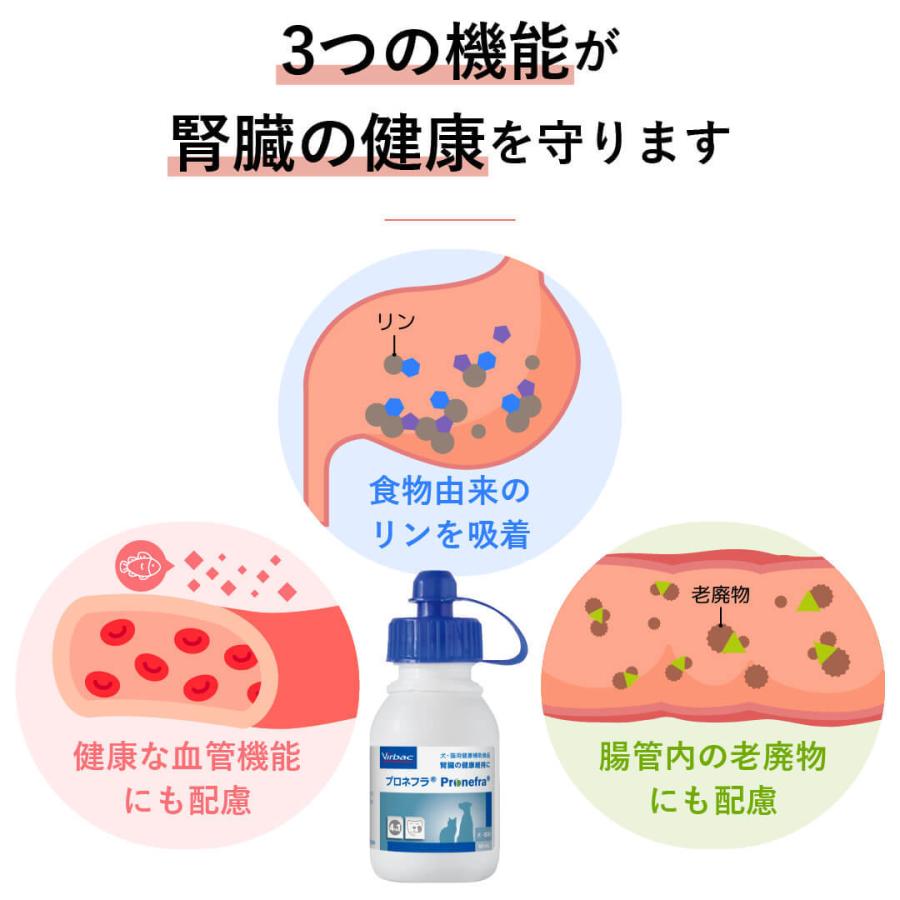 プロネフラ 3箱セット 有効期限2025年11月 賞味期限：2026/04/30】 プロネフラ 60ml 犬猫用 送料込 ビル