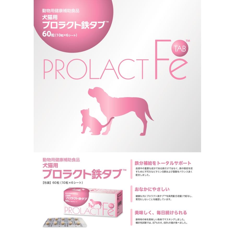 共立製薬 犬猫用プロラクト鉄タブ 60錠 : 愛犬と一緒に歩くを叶える