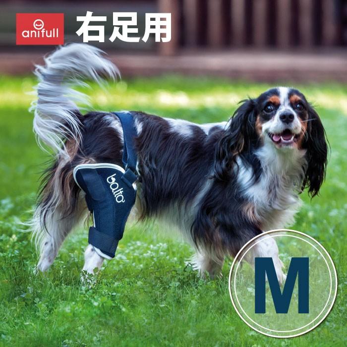 BT JUMP (膝サポーター) 右 Mサイズ 愛犬の膝のトラブルに 膝関節サポーター バルト 送料込