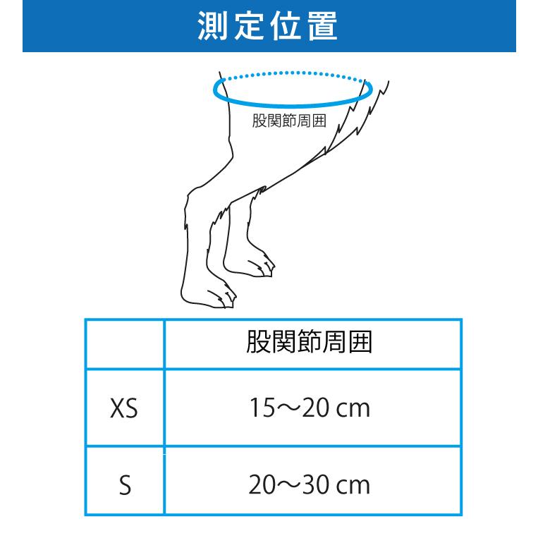 BT UP (歩行補助ハーネス) XSサイズ 介護用ハーネス_9