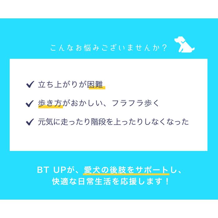 BT UP (歩行補助ハーネス) Sサイズ 介護用ハーネス : 愛犬と一緒に歩く
