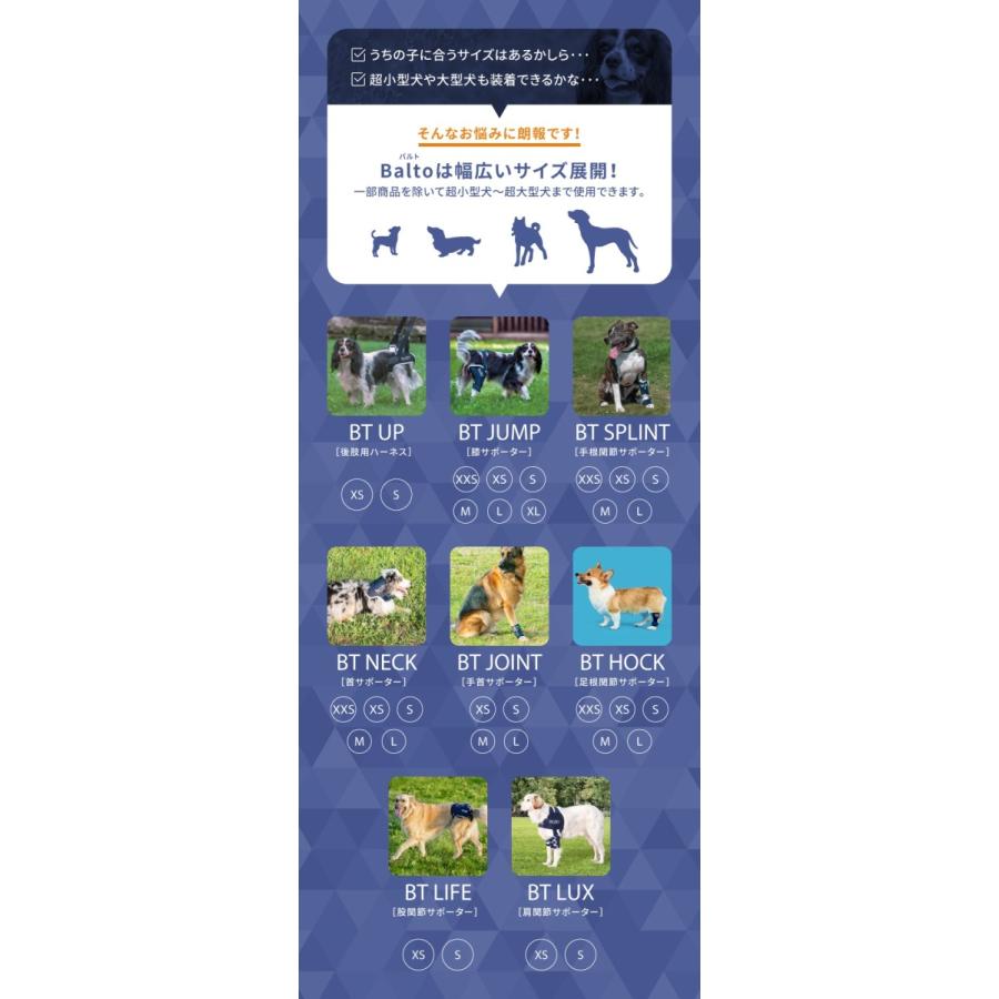 犬用肩関節サポーター〈松本義肢製作所〉肩安定用Sサイズ・ペットスリング付き 楽天市場】＜新商品！＞犬用 肩関節サポーター 温感サポート 4点サイズ