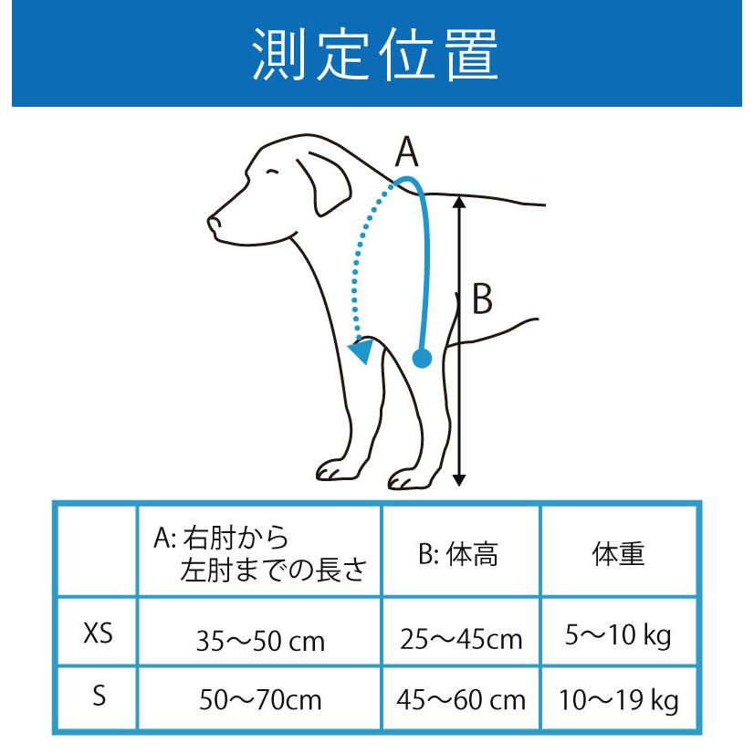 BT LUX(肩関節サポーター)Sサイズペット用 肩サポーター : 愛犬と一緒