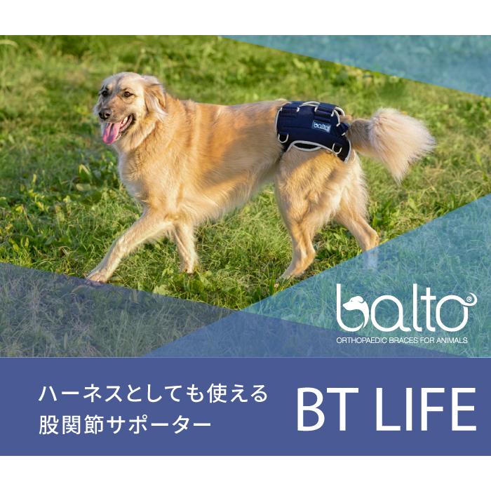 antfull BT LIFE 股関節サポーター S BT LIFE(股関節サポーター)Sサイズペット用 股関節サポーター