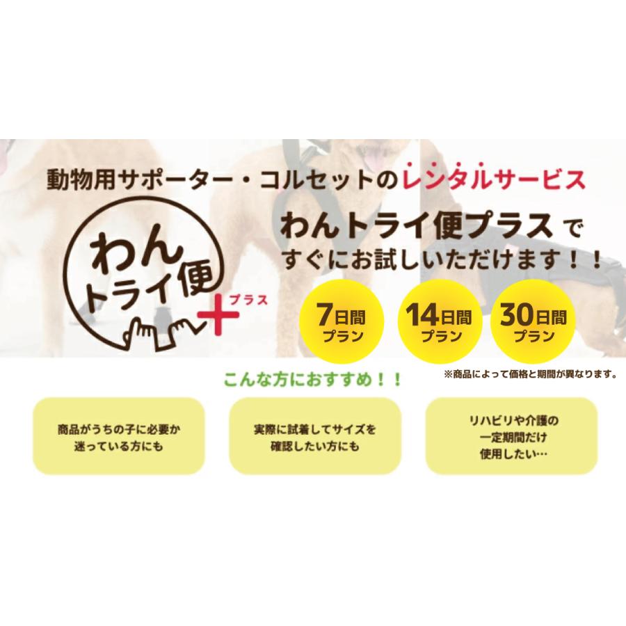 anifull 公式】【レンタルサービスわんトライ便+】7日間 わんコル With