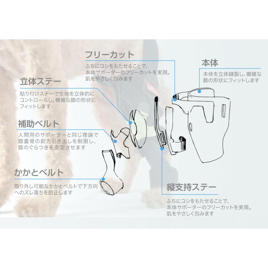 オーダーメイド 犬用膝サポーター 前十字靭帯用 小型犬用(体重 10kg
