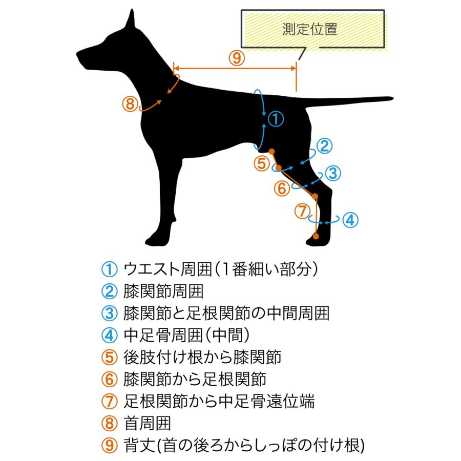 わんちゃん様オーダー オーダーメイド 犬用膝サポーター 前十字靭帯用 大型犬用 (体重