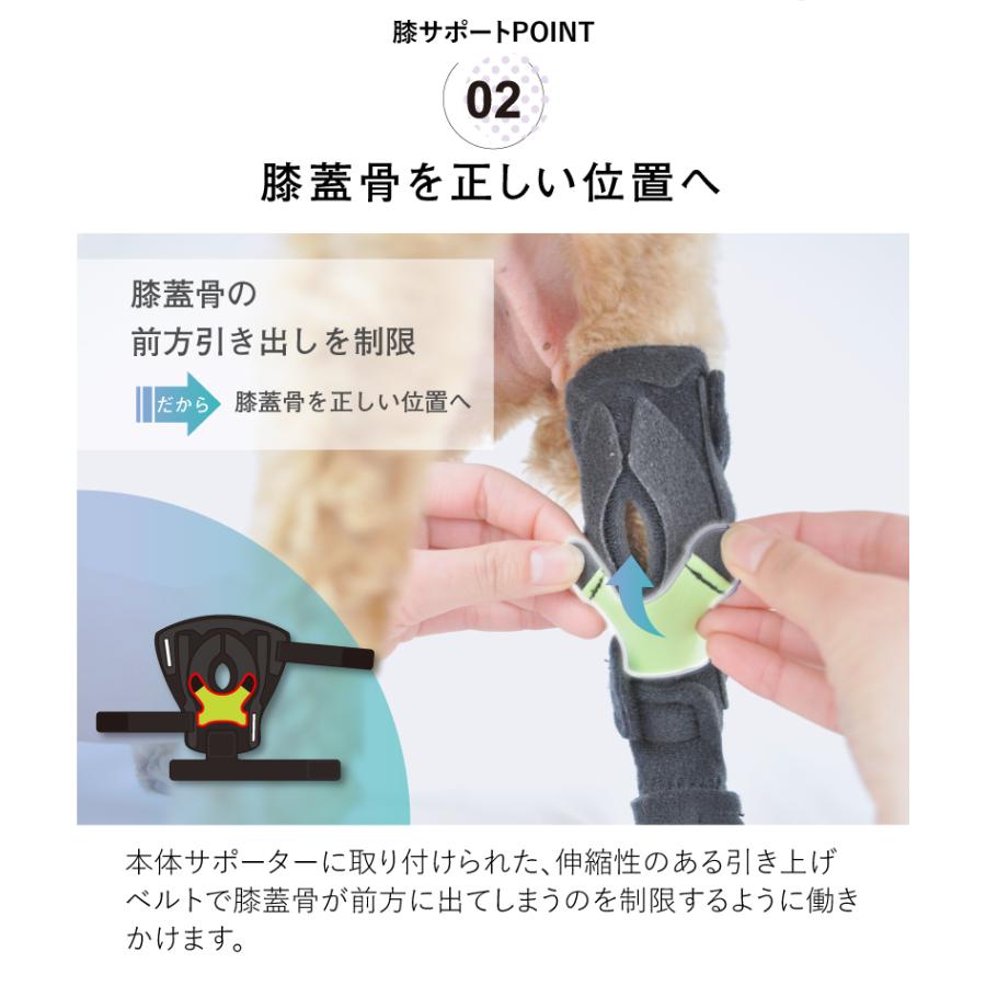 オーダーメイド 犬用膝サポーター 前十字靭帯用 中型犬用(体重10kg以上