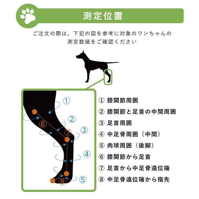 犬用品 足 後ろ足 足根関節 固定 制限 底屈 背屈 歩行補助 足首 サポーター 中型犬用 オーダーメイド ダイヤ工業 Anifull アニフル 999 0013sot 愛犬と一緒に歩くを叶える Anifull 通販 Yahoo ショッピング