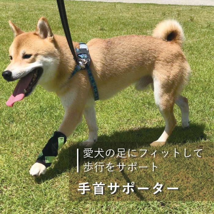 犬用品 手 前足 手根関節 固定 制限 底屈 背屈 歩行補助 手首 サポーター 超小型犬用 オーダーメイド ダイヤ工業 Anifull アニフル 999 0013syuco 愛犬と一緒に歩くを叶える Anifull 通販 Yahoo ショッピング