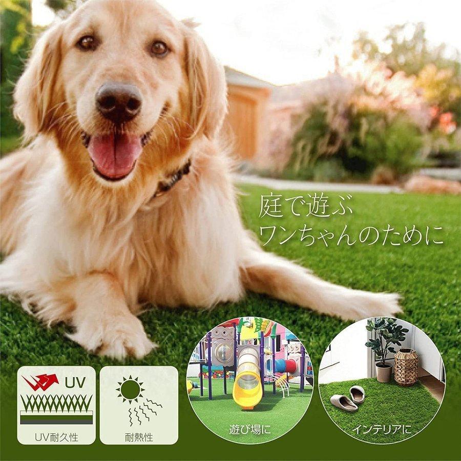 人工芝 ロール リアル 2m×25m 芝丈35mm 固定ピン付 