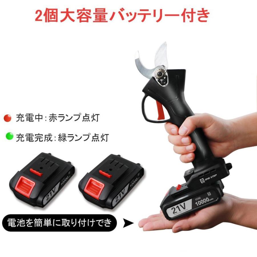 剪定ばさみ 電動 ケース付き 園芸用 コードレス 充電式 剪定ハサミ 741 剪定ばさみ 電動 ケース付き 園芸用 コードレス 充電式 剪定