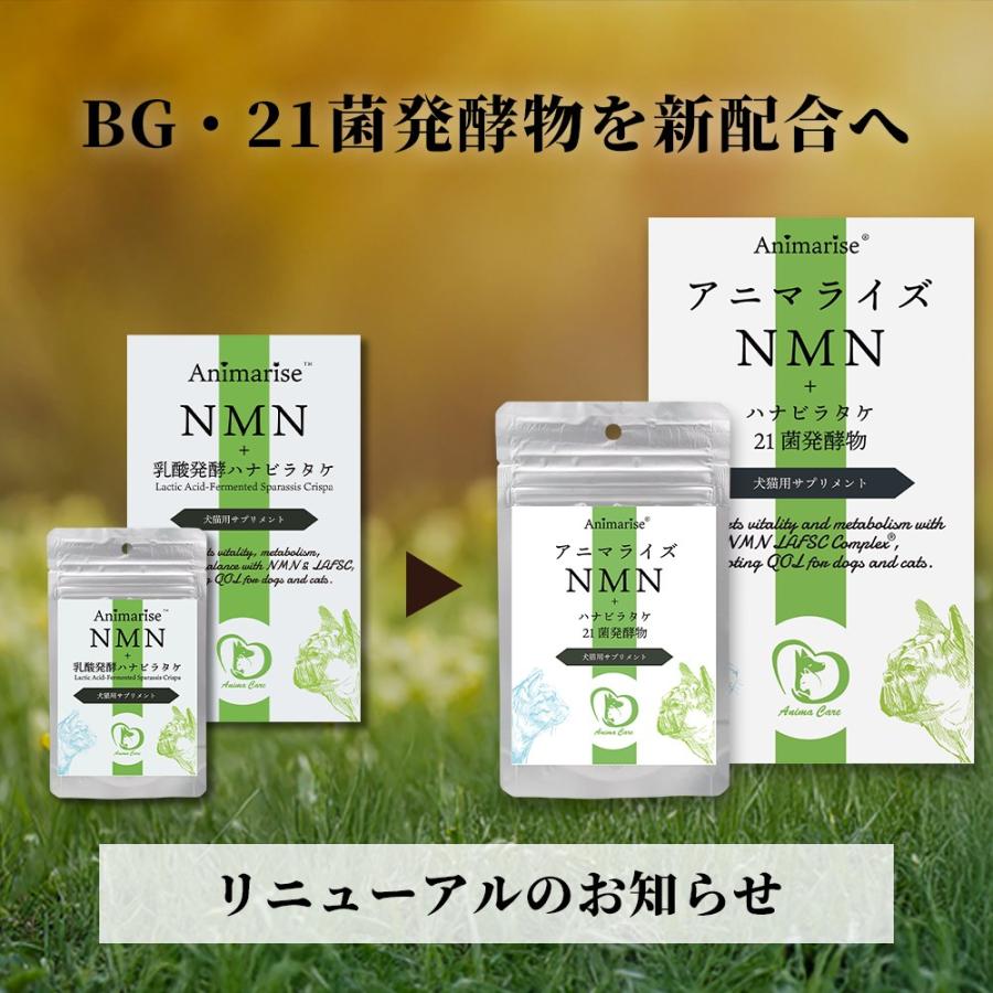 アニマライズ NMN ハナビラタケ 猫用品