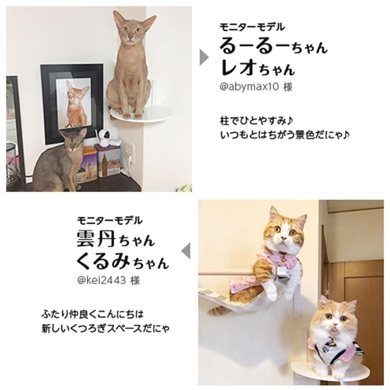 キャットタワー キャットウォーク キャットステップ animacolle 